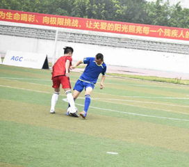 三大球运动会：晋级四强 山东青年男排3-0战胜四川男排