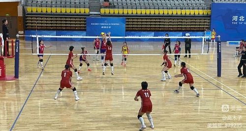 中国女篮奥运资格赛名单出炉：李梦 韩旭领衔