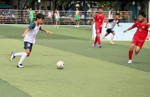 1分险胜！浙江3-2深圳首进总决赛 程帅澎26+9